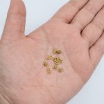 DIY三联圈-金色-意大利进口-0.7mm（约70个） - 图片 3