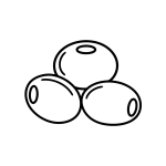 母贝